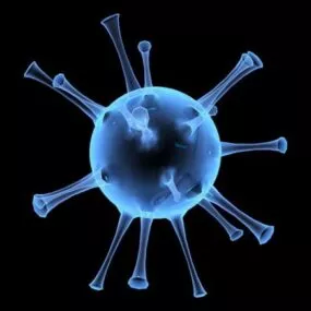 Virus Cell 3d model