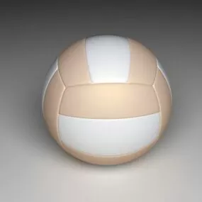 Volleyball Ball White Color 3d model
