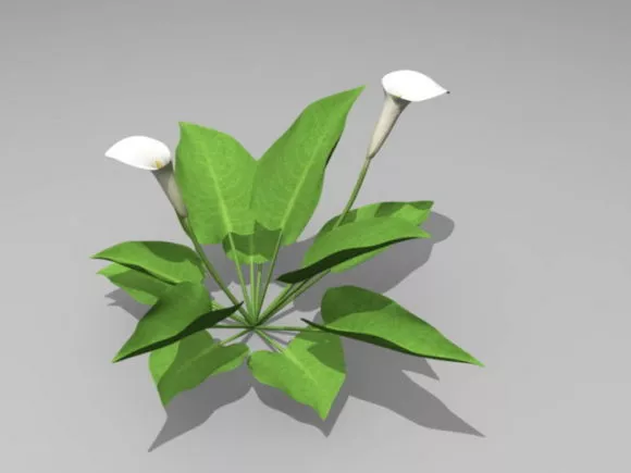 Grass Cannabis Tree Plant 3d model