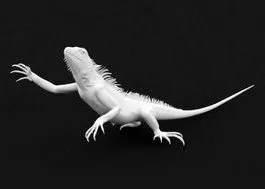 White Lizard Crawling 3d model White Lizard Crawling 3d model