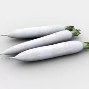 White Radish Carrot 3d model