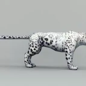 Snow Leopard Animal 3d model