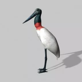 Lowpoly White Water Bird 3d model