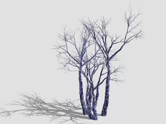 Arbre Tree 3d model