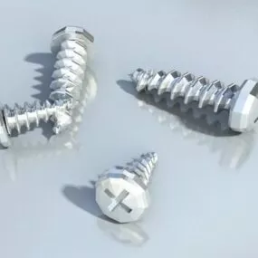Wood Screws 3d model