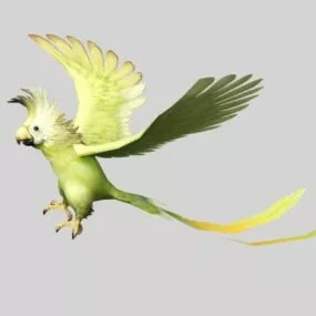 Yellow Parrot 3d model