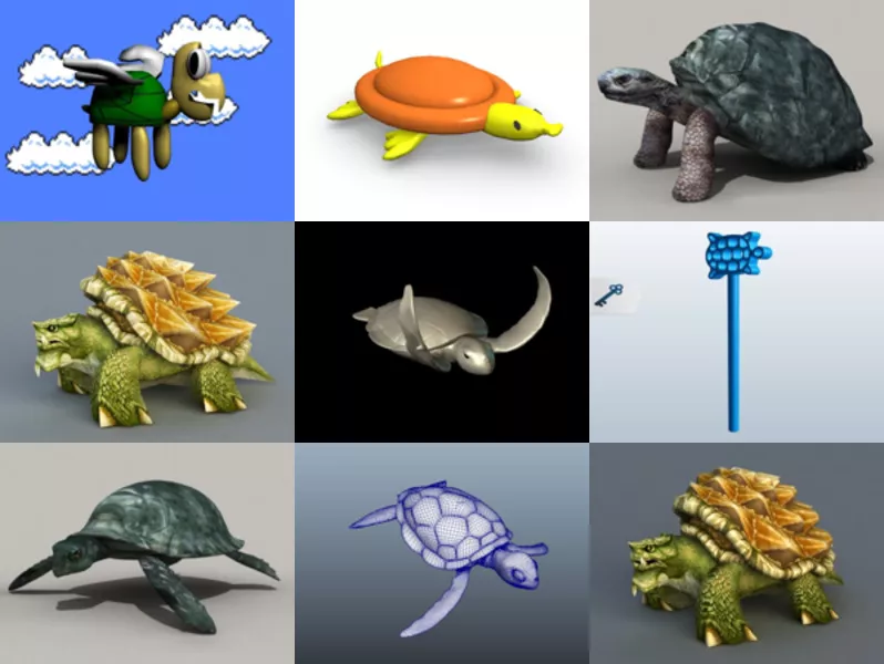 Top 10 Turtle 3D Models for Rendering Latest 2022