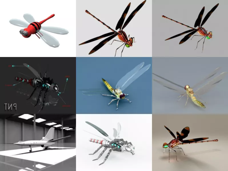 Top 11 Dragonfly 3D Models for Free Newest 2022