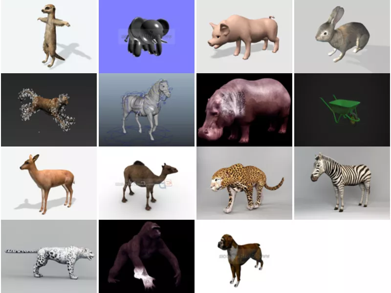 Top 15 Mammal 3D Models for Free Most Recent 2022