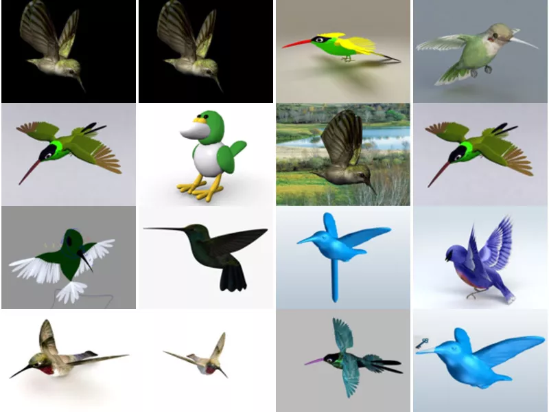 Top 18 Hummingbird 3D Models for Rendering Newest 2022