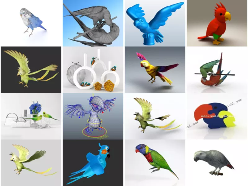 Top 21 Parrot 3D Models Resources Newest 2022