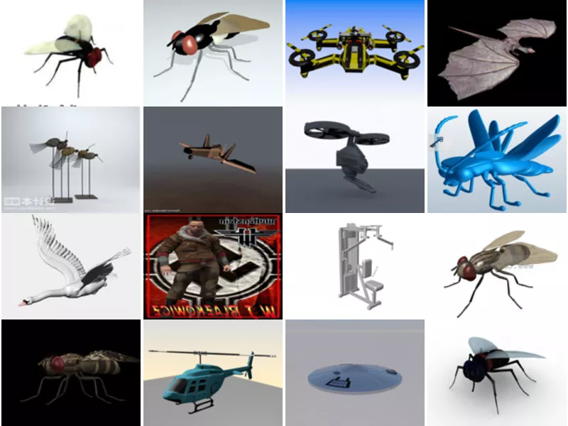 Top 22 Fly 3D Models Latest 2022