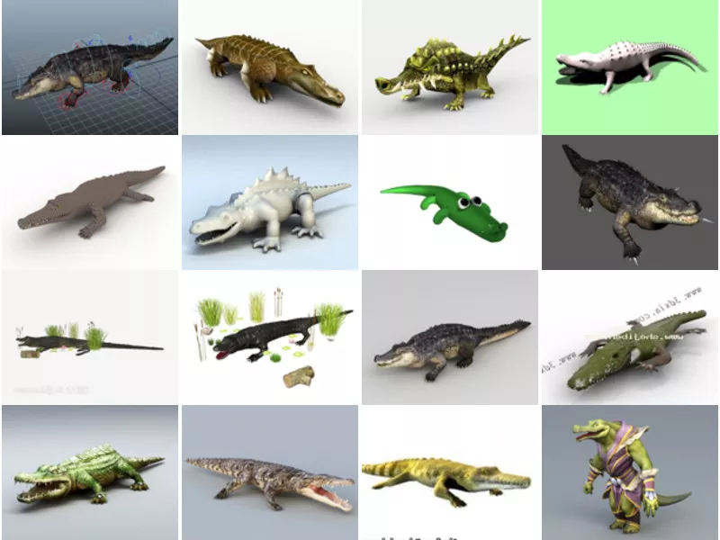 Top 23 Crocodile 3D Models Stuff Newest 2022