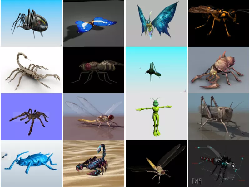 Top 25 Insect 3D Models Newest 2022