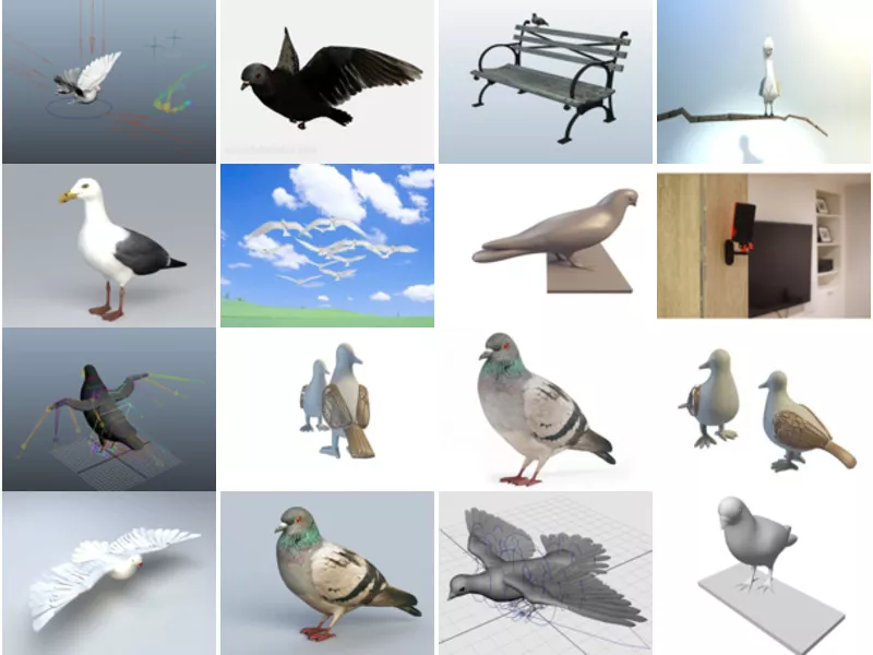 Top 26 Pigeon 3D Models Resources Most Recent 2022