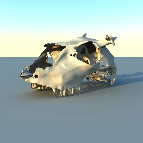 Alien Spaceship Animal Shape 3d model