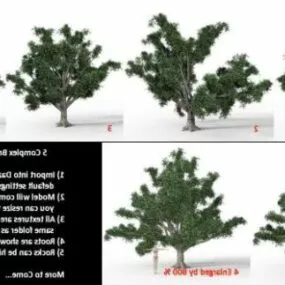 Complex Broadleaf Tree Set 3d model