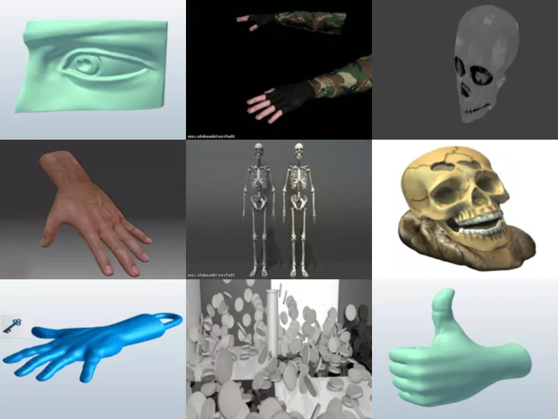 Top 9 Anatomy 3D Models Most Recent 2022