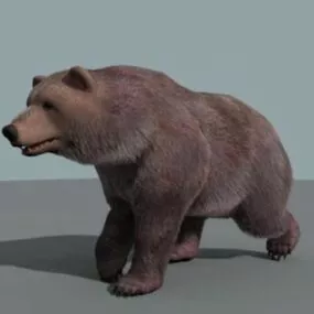 Realistic Bear Walking 3d model