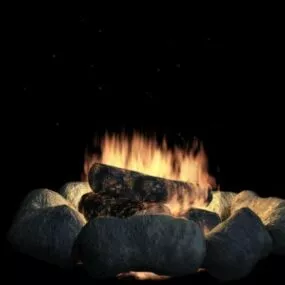 Campfire Fire 3d model