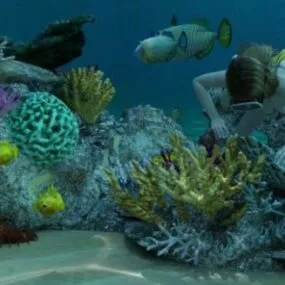 Coral Reef Scene 3d model