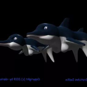 Dolphin Character 3d model