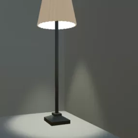 Standard Floor Lamp 3d model