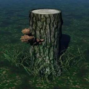 Fungi Turkey Mushroom 3d model