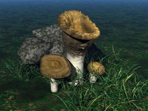Dark Anime Mushroom Character 3d model