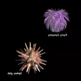 Furry Spikey 3d model