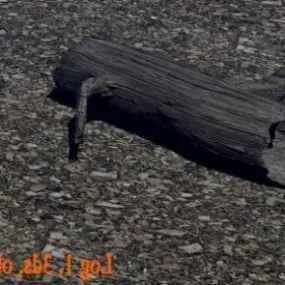 Black Log 3d model