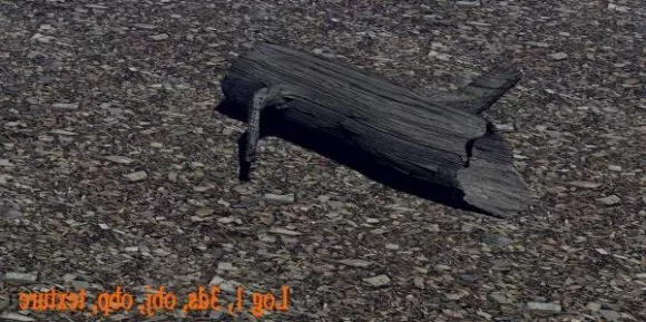 Uprooted Tree Log 3d model