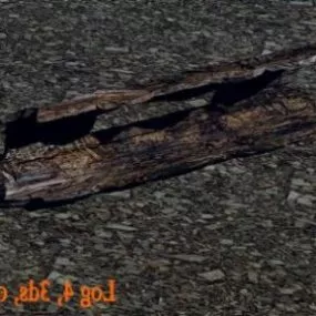 Burned Tree Log 3d model
