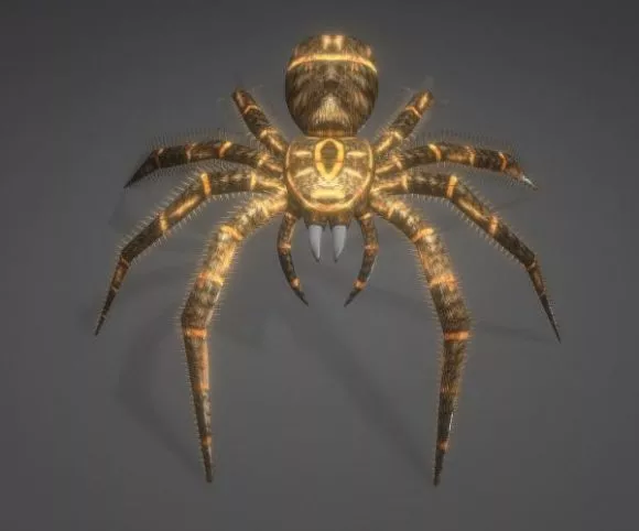 Realistic Spider 3d model Realistic Spider 3d model