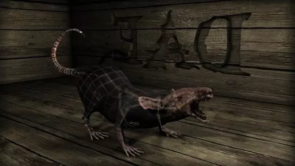 Rat Rigged 3d model Rat Rigged 3d model
