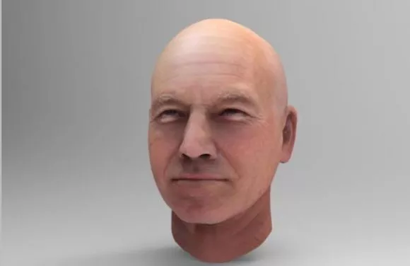 Pilot 3d model