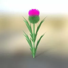 Scottish Thistle Flower 3d model