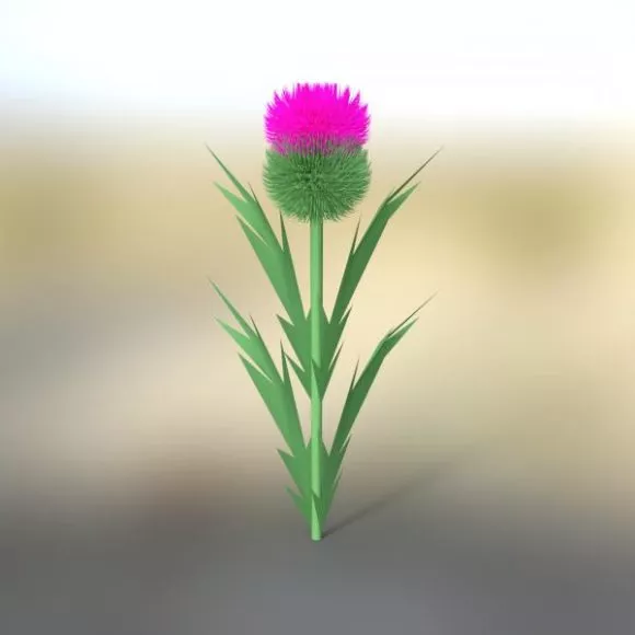 Broadleaf Tree Medium Size 3d model