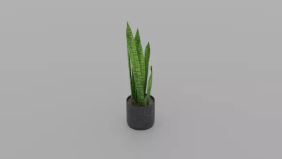 Two Potted Plant 3d model