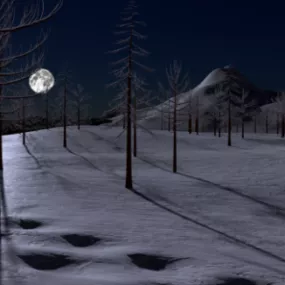 Snowy Night Scene 3d model
