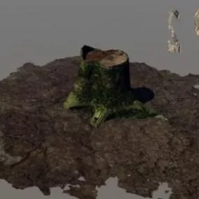 Stump Of Tree 3d model