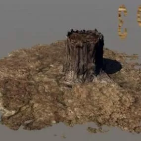 Log Stump 3d model