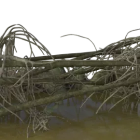 Swamp Landscape 3d model