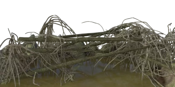 Young Tree Green Pink Leaf 3d model