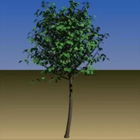 Tall Tree 15 Feet 3d model