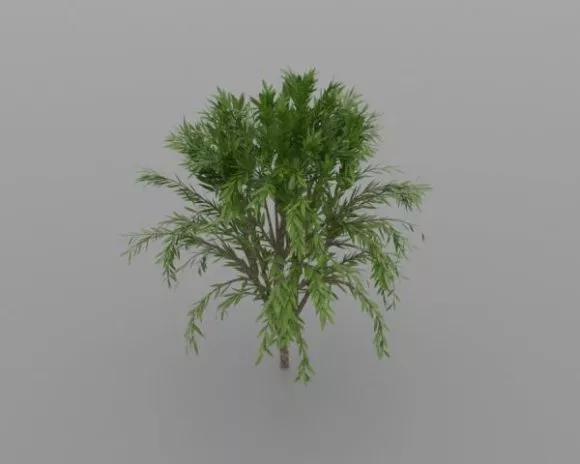Realistic Leaf Plant Vase Pot Decorative 3d model