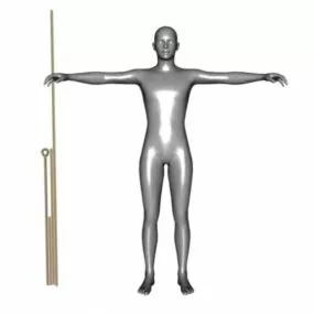 Versatile Body Mesh 3d model