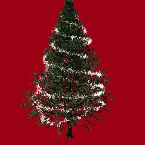 Garden Tree Realistic 3d model