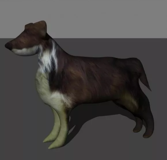 Realistic Dog Animal 3d model Realistic Dog Animal 3d model