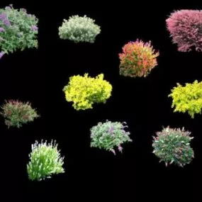 Bushes And Shrubs 3d model